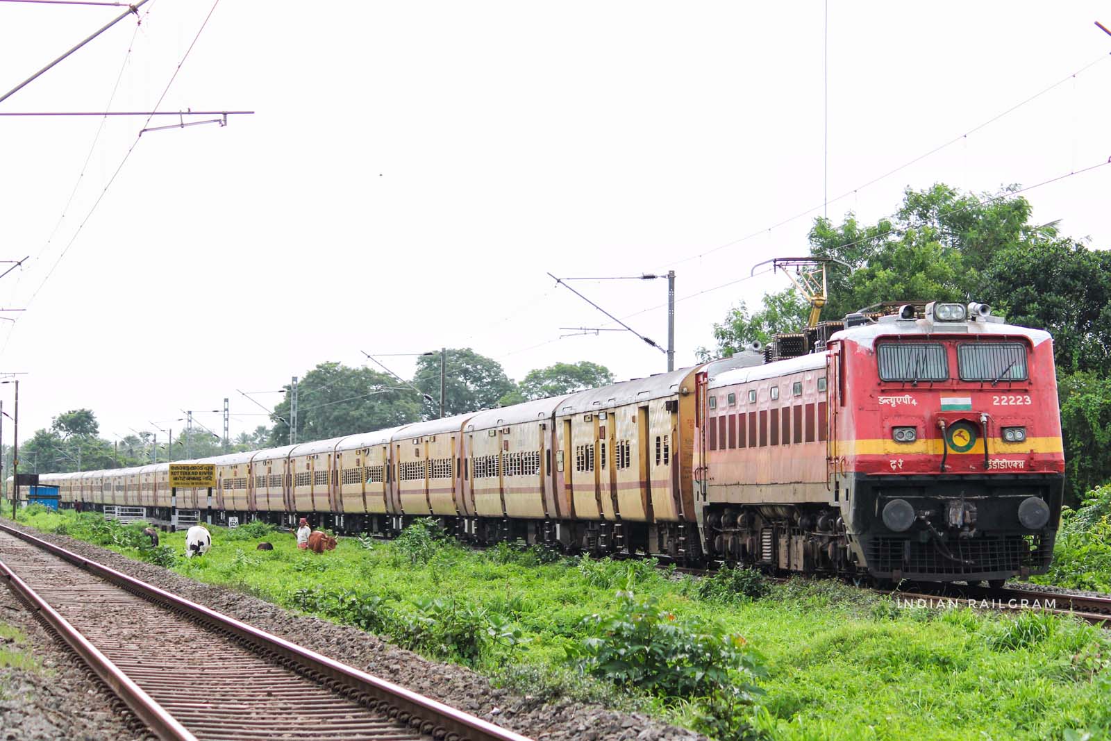 Train Photo 43